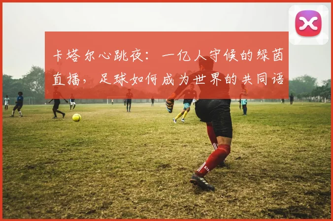 卡塔尔心跳夜:一亿人守候的绿茵直播,足球如何成为世界的共同语言