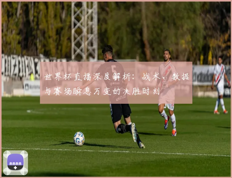 世界杯直播深度解析:战术、数据与赛场瞬息万变的决胜时刻