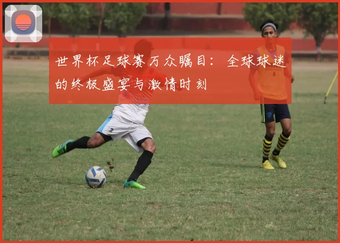 世界杯足球赛万众瞩目:全球球迷的终极盛宴与激情时刻